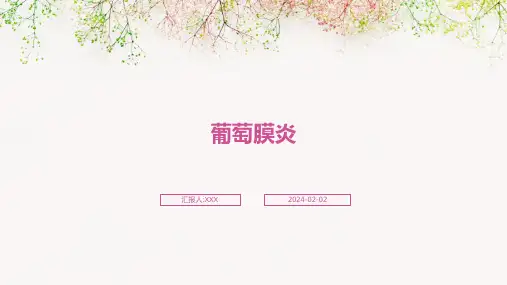 葡萄膜炎演示课件