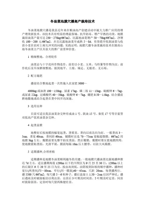 冬油菜地膜穴播高产栽培技术