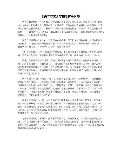 【高二作文】守望老树系乡愁