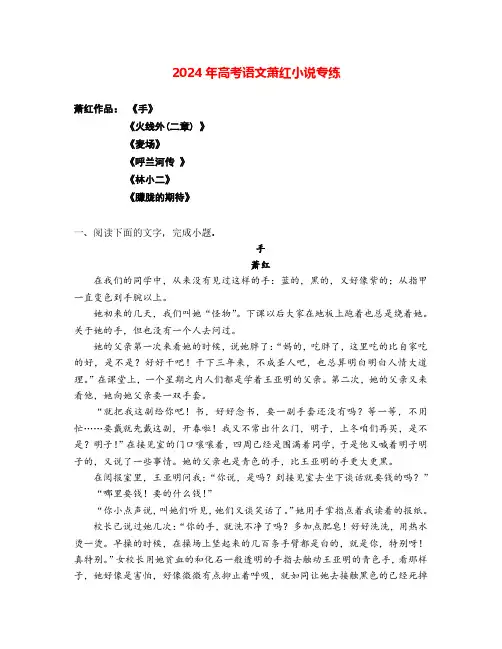 2024年高考语文阅读之萧红小说专练(解析版)