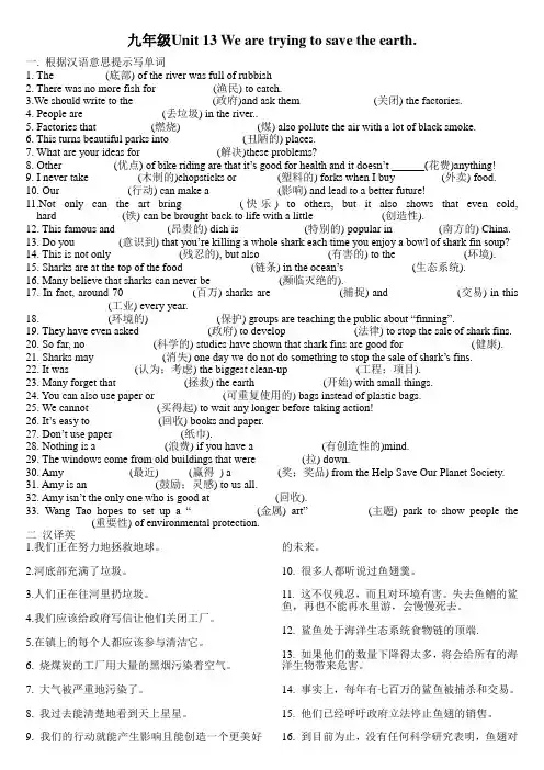人教新目标九年级英语Unit 13-14复习导学案