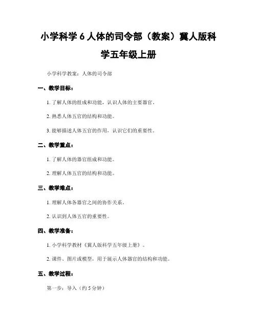 小学科学6人体的司令部(教案)冀人版科学五年级上册