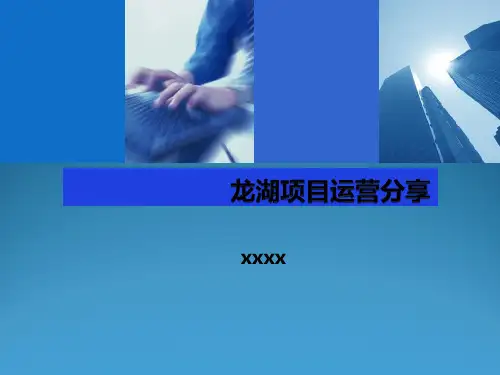 龙湖地产项目计划运营管控体系