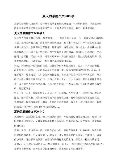 夏天的暴雨作文500字