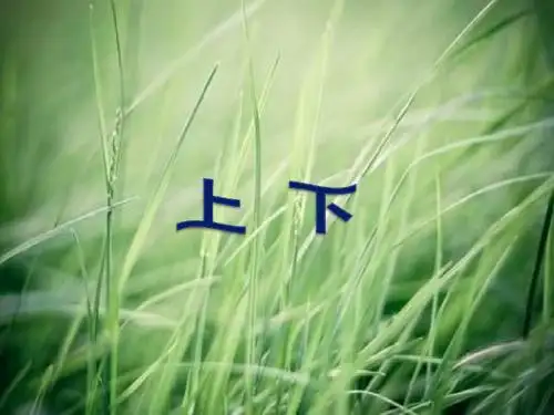 最新北师大版数学一年级上册《上下》PPT公开公开课优质课课件7