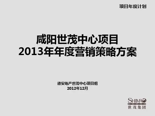 某房地产项目营销策略提案