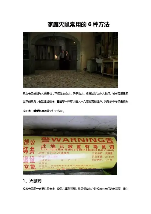 家庭灭老鼠常用的6种方法,消灭老鼠的方法,房间里有老鼠怎么办