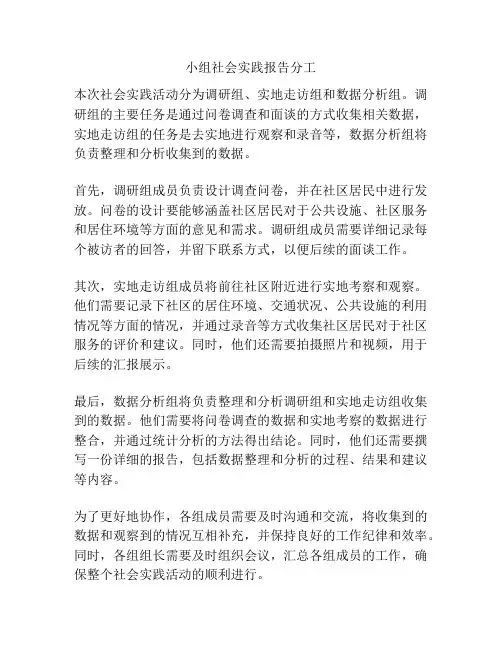 小组社会实践报告分工