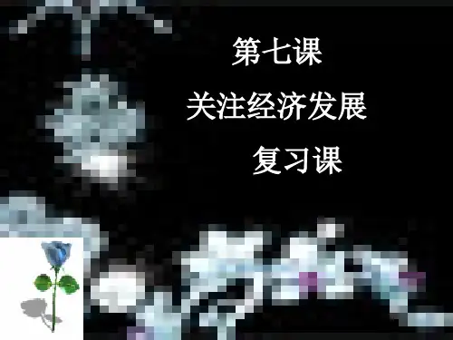 九年级政治第七课复习课件人教版