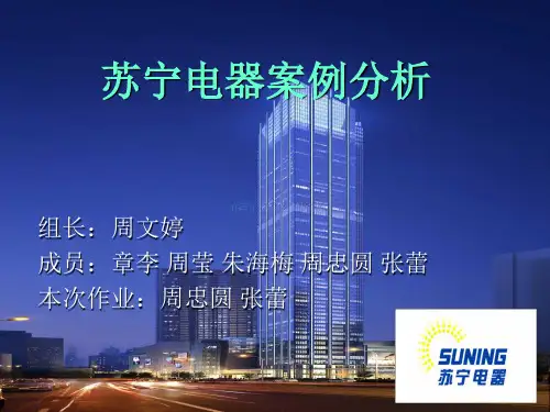 苏宁 市场营销 战略分析