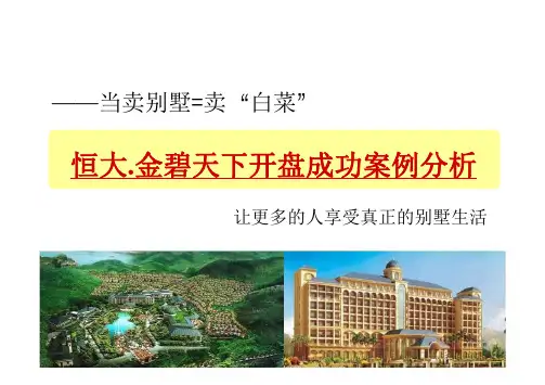 成都恒大金碧天下开盘成功案例分析