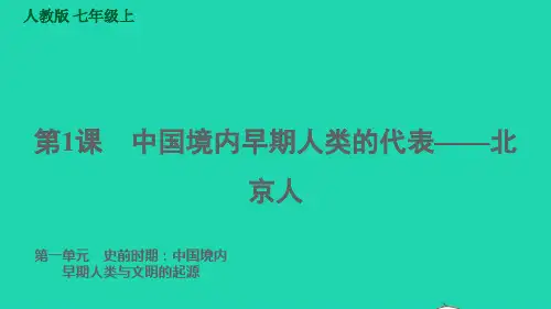 七年级历史上册第1单元史前时期：第1课中国境内早期人类的代表__北京人习题课件新人教版ppt