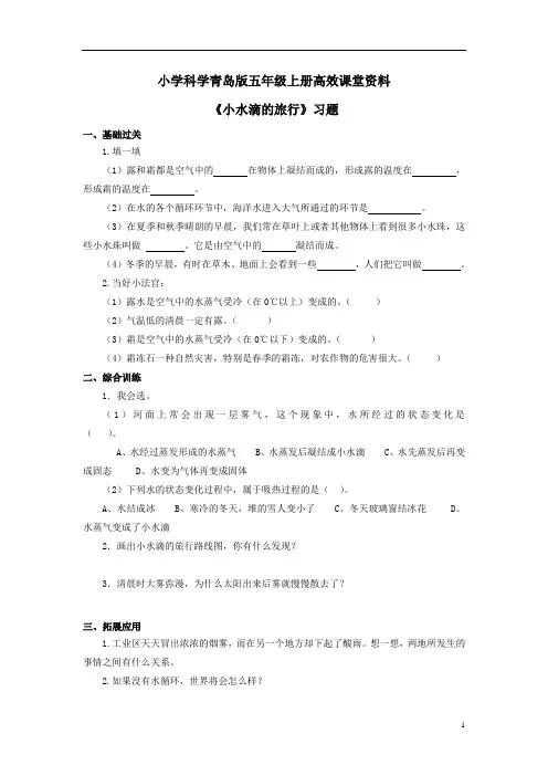 小学科学青岛版五年级上册高效课堂资料《小水滴的旅行》习题 (1)