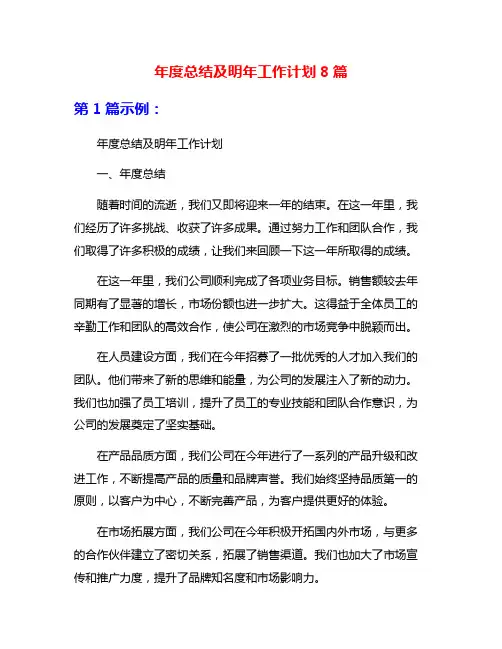 年度总结及明年工作计划8篇