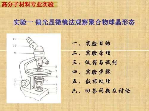 偏光显微镜法观测聚合物球晶形态