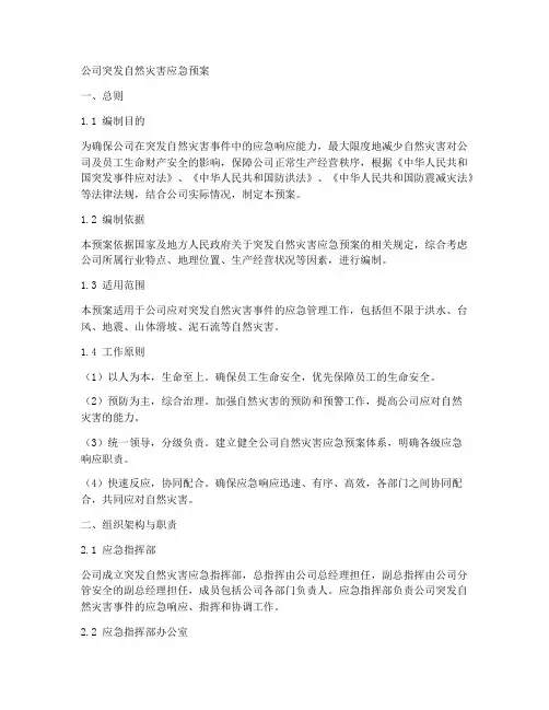 公司突发自然灾害应急预案