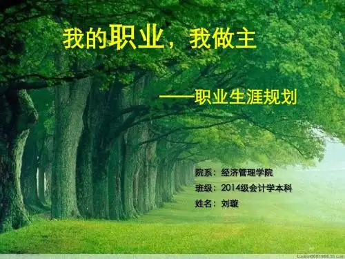 大学生职业生涯规划