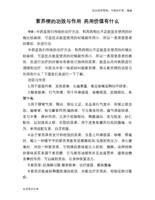 紫苏梗的功效与作用 药用价值有什么
