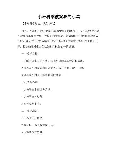 小班科学教案我的小鸡