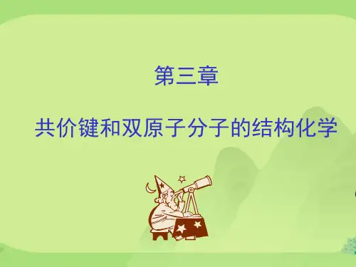 结构化学 第三章 共价键和双原子分子的结构化学