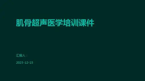肌骨超声医学培训课件