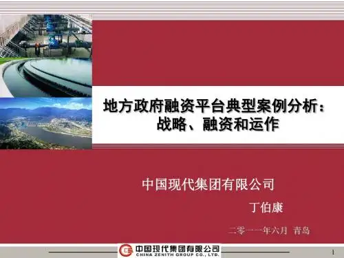 地方政府融资平台典型案例分析不错分析ppt课件