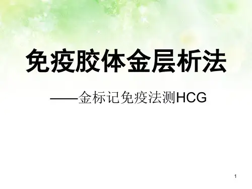 免疫胶体金层析法精品PPT课件