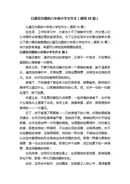 以遇见为题的六年级小学生作文（通用35篇）