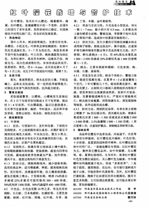红叶樱花栽培与管护技术