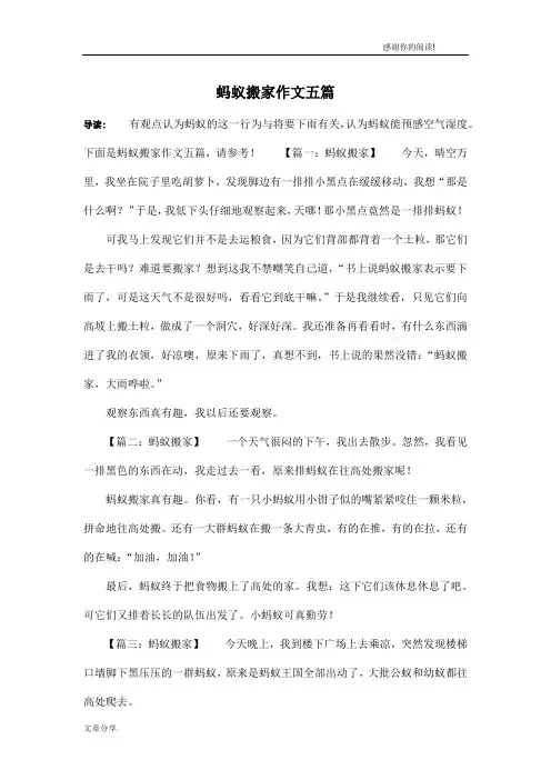 蚂蚁搬家作文五篇