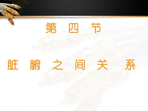 中基-藏象-脏腑关系  ppt课件