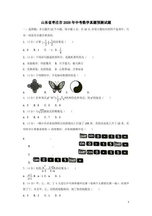 2020年山东省枣庄市中考数学预测试题(含解析)