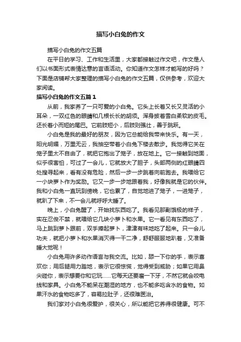 描写小白兔的作文
