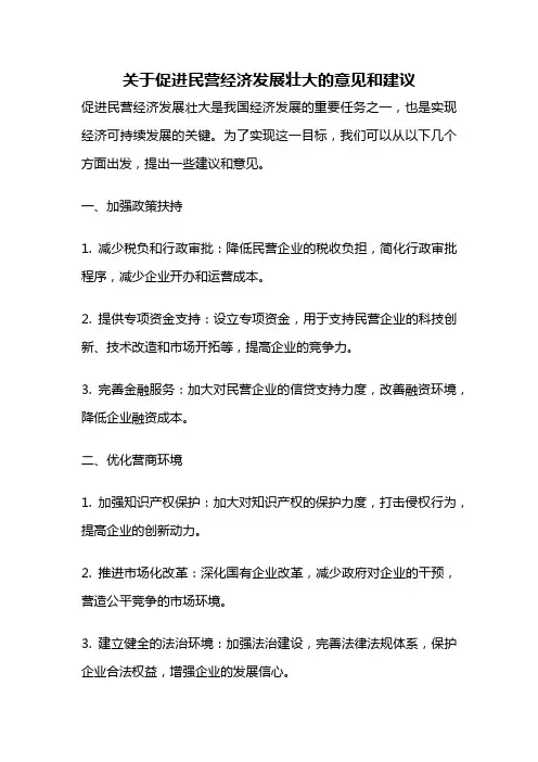 关于促进民营经济发展壮大的意见和建议