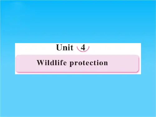 高一英语同步精品课件Unit4 Wildlife protection - Warming up(新人教版必修2)