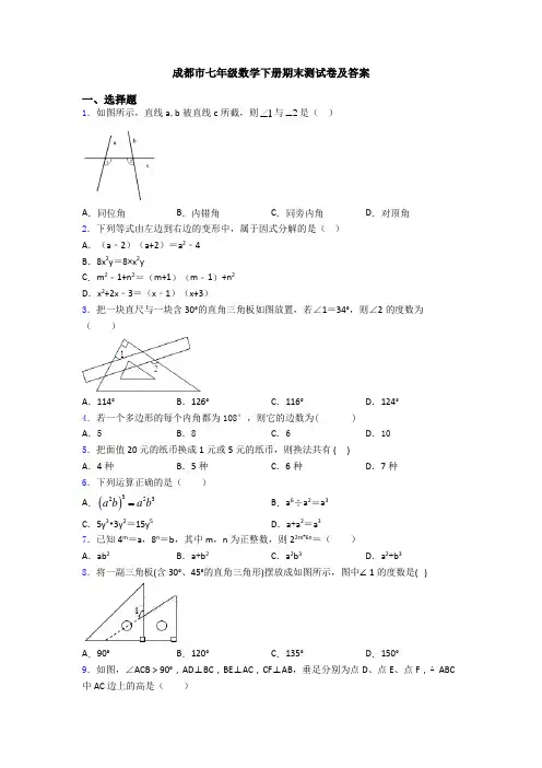 成都市七年级数学下册期末测试卷及答案