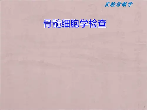 骨髓细胞学检查ppt课件