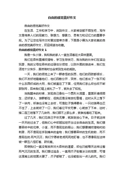 自由的感觉真好作文