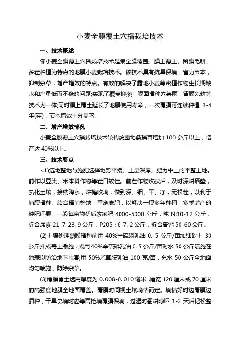 小麦全膜覆土穴播栽培技术