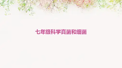 七年级科学真菌和细菌