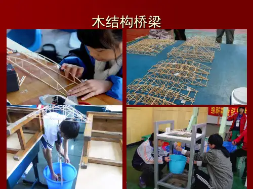 木结构桥梁承重模型简介(课堂PPT)