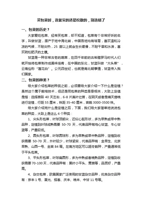 买包菜时，选紧实的还是松散的，别选错了