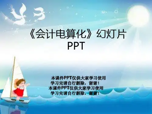 《会计电算化》幻灯片PPT