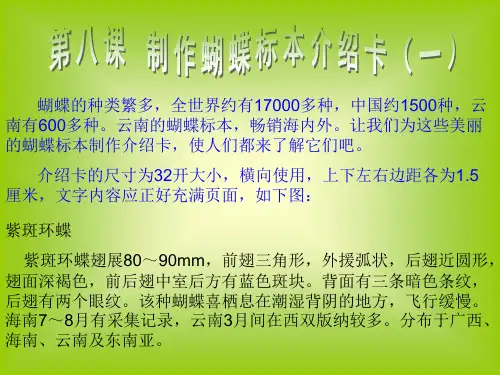 第八课 制作蝴蝶标本介绍卡(一)
