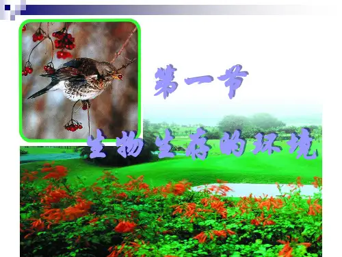 苏科版生物七上2.1《生物生存的环境》讲课课件(共19张PPT)
