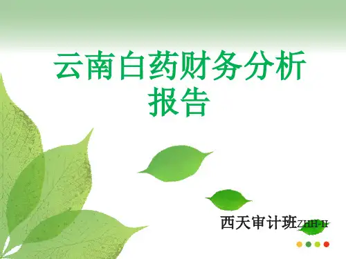 云南白药财务分析报告精讲