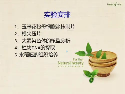 实验一玉米花粉母细胞涂抹制片