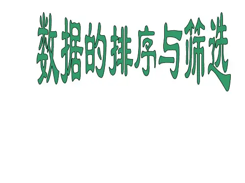 《数据的排序与筛选》课件