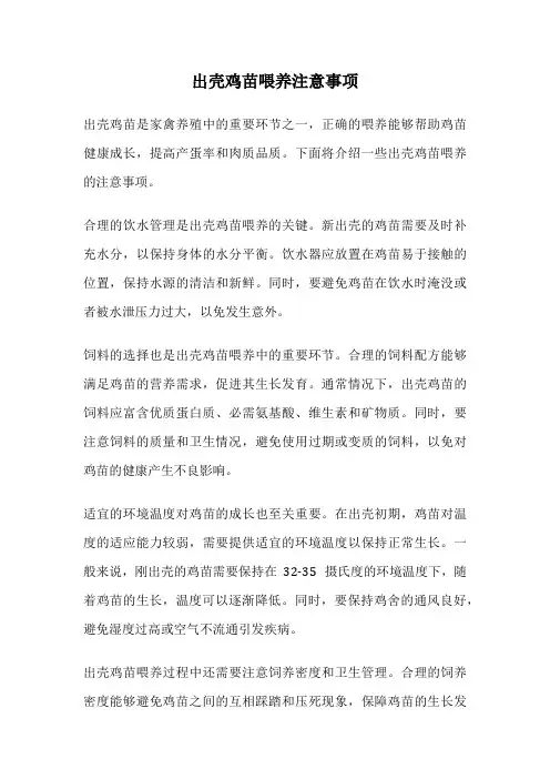 出壳鸡苗喂养注意事项