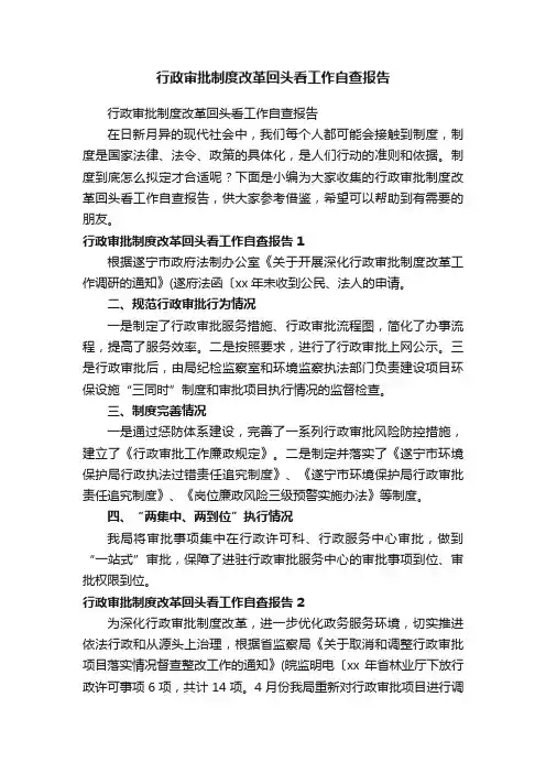 行政审批制度改革回头看工作自查报告